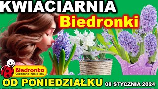 BIEDRONKA  Oferta Promocyjna od Poniedziałku 08012024  Kwiaty i rośliny doniczkowe [upl. by Hi]