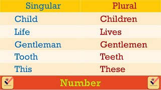 Singular  Plural  215 Important Words  Number  Vocabulary  Nouns  Pronouns  English Grammar [upl. by Hew]