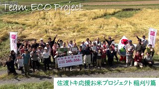 「トキとの共生を願って…」佐渡トキ応援お米プロジェクト稲刈り篇【Teaｍ ECO Project2024🌱】 [upl. by Nahtannoj755]