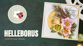 Spellbinders Helleborus Christmas Rose by Susan TierneyCockburn HowTo [upl. by Ahtelrac]