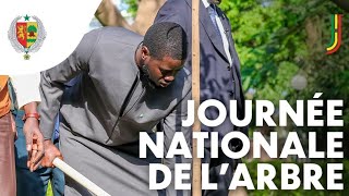 En direct de Touba  Lancement de la Journée Nationale de lArbre par Le Président de la République [upl. by Coben]