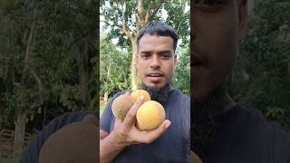 A very tasty fruit of Malaysiaviralshortfruitpalmtreesmalaysiapalmgarden [upl. by Clarkson]