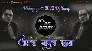 Aamcha Nadach Khula DJ  💙आमचा नादच खुळा DJ💙  Its AK Amol  2020 New Jay Bhim Song Dj [upl. by Sunderland820]