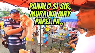 MGA INAABANGAN NGAYUN SA BOCAUE PET MARKET [upl. by Bernt]