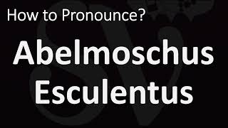 How to Pronounce Abelmoschus Esculentus CORRECTLY [upl. by Mathian]