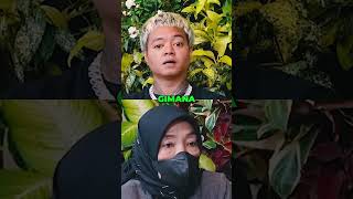 Satu Selop Rokok dan Realitas Hidup youtubeshorts podcast dennysumargo rezaarap yb youtube [upl. by Jessabell258]