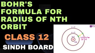 radius of Bohrs nth orbit  atomic physics  class 12  derivation  sindh board [upl. by Salohcin756]