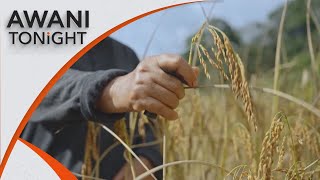 AWANI Tonight How will digital tech enhance food security [upl. by Orimlede]