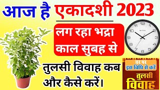 Tulsi Vivah Shubh Muhurt Ekadashi Puja 2023 Tulsi Vivah Ka Samay एकादशी शुभ मुहूर्त पूजा विधि [upl. by Roz]