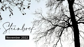 STEINBOCK ♑ ✖ Stiller Beobachter ✖ November 2022 [upl. by Afton789]