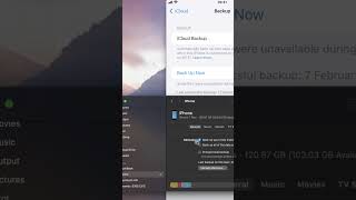 Backup iPhone to Mac [upl. by Eidroj]