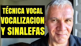 CURSO de TÉCNICA VOCAL VOCALIZACIÓN Y SINALEFAS🎙️✨  Guillermo Morante [upl. by Pawsner424]