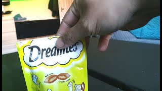 Dreamies advert Test after feeding the cats for a few weeks [upl. by Adnohsed78]