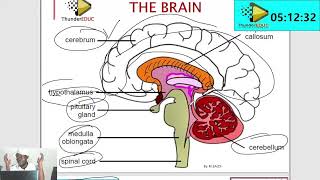 STUDY WITH ME LIFE SCIENCES GRADE 12 GET ALL HELP FROM MSAIDILIFE SCIENCES BY MSAIDI THUNDEREDUC [upl. by Nemrak]