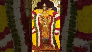 Muruga velmuruga tamildevotionalsongs muruganbakthisongs tamilkadavulmurugan pearl8594 [upl. by Aisa]