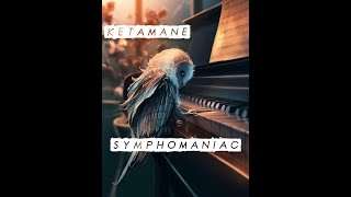 ♫ Ketamane  Symphomaniac ♫ ♪ Hardtek ♪ [upl. by Nakhsa]