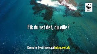 Fik du set det du ville [upl. by Epilihp]