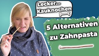 5 nachhaltige Alternativen zu Zahnpasta im Test  Frollein Elli [upl. by Waylen]