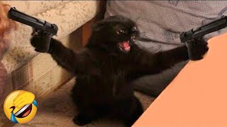 Funniest Animals 😄 New Funny Cats and Dogs Videos 😹🐶  Ep18 [upl. by Attennyl484]