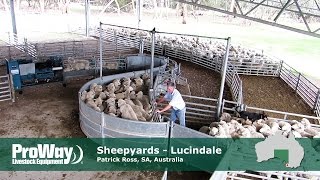 ProWay Sheepyards  Lucindale South Australia [upl. by Novyak]