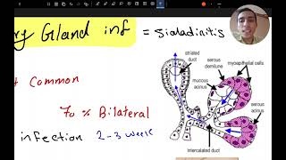 Salivary gland inflammation [upl. by Akenet]