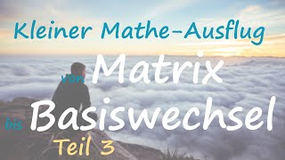 Von Matrix bis Basiswechsel  ein MatheAusflug 33  Math Intuition [upl. by Garrot]