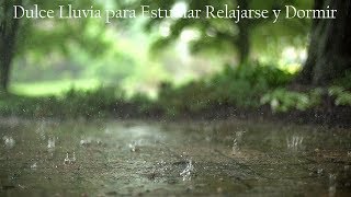 Lluvia Suave y Relajante • Alivia el Estrés y la Ansiedad para Dormir Profundamente • 6 Horas [upl. by Yrogiarc682]