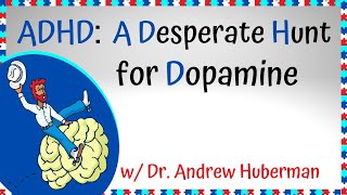 Andrew Huberman on Dopamine Levels in People with ADHD [upl. by Yakcm]