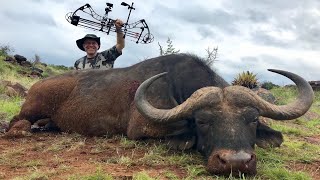 quotONE ARROWquot Cape Buffalo Bowhunt Africa Bishop Broadhead [upl. by Auqined869]