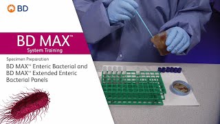 BD MAX™ Enteric Bacterial Panel and Extended Enteric Bacterial Panel │ Specimen Preparation [upl. by Letty609]