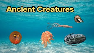 5 Animals From the Ancient Iapetus Ocean [upl. by Sidney427]