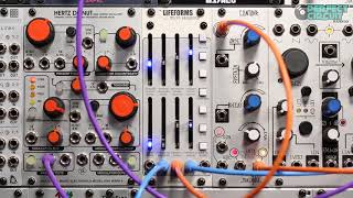 Pittsburgh Modular Lifeforms Micro Sequence [upl. by Itraa361]