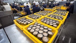 How it made Canned Tuna processing line in Factory [upl. by Avevoneg]