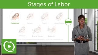 Stages of Labor Stages 1 2 amp 3 of Normal Labor – Obstetrics  Lecturio [upl. by Jack]