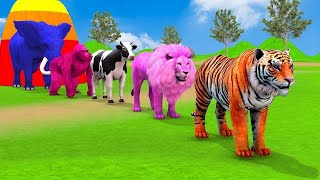 Long Slide Game With Elephant Gorilla Buffalo Hippopotamus Tiger  3d Animal Game  Funny 3d Animals [upl. by Monti789]