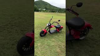 citycoco electric scooter factory m1p [upl. by Jessie]