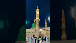 Jo tal deta hy Jo tal deta hyytshorts shortvideos islamicvideo trendingvideo [upl. by Ikin]