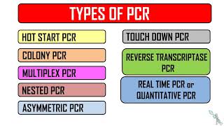 PCR and its types  Variants of PCR  Polymerase Chain Reaction [upl. by Kroy634]