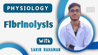 Clot retraction  Fibrinolysis of blood clotting  Hemostasis  Blood physiology bangla lecture [upl. by Sully]