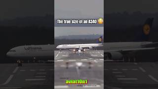 The Crazy True Size Of A Airbus A340 shorts aviation [upl. by Gibb]