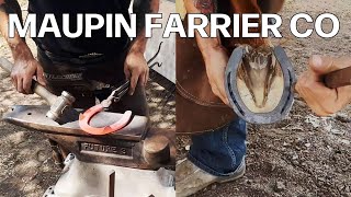 Hoof Cleaning  Farrier Restoration  ASMR [upl. by Geerts]