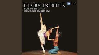 Le Corsaire Pasdedeux  No 2 Variation I Allegro [upl. by Reger340]