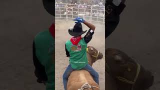 hermosa jugada del Gansito de santa anita Jalisco [upl. by Chen]