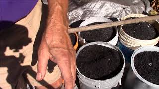 How to Charge Biochar [upl. by Erund]