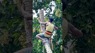 8610339350 tree cutter Suyambu  top tree cutter in all India  tree cutting [upl. by Parrish]