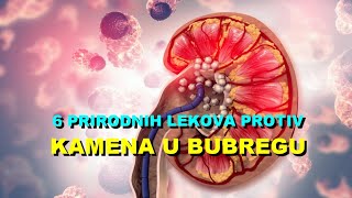 6 PRIRODNIH LEKOVA PROTIV KAMENA U BUBREGU [upl. by Shannan734]