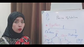 NUCLEOPROTEIN Metabolism Session 1 NUCLEOPROTEIN [upl. by Azral]