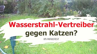 Wasser gegen Katzen  WasserstrahlTiervertreiber im Test   Katzen vertreibenvergrämen [upl. by Olsen]