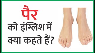 पैर को इंग्लिश में क्या कहते हैं  Pair ki English Kya hoti hai Pair ka English Meaning in Word [upl. by Lemmor135]