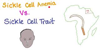 Sickle Cell Anemia Vs Sickle Cell Trait comparison [upl. by Baras230]